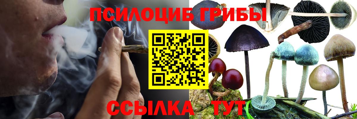 Галлюциногенные грибы GOLDEN TEACHER  Галлюциногенные грибы GOLDEN TEACHER  Вход с VPN  Алексин 
